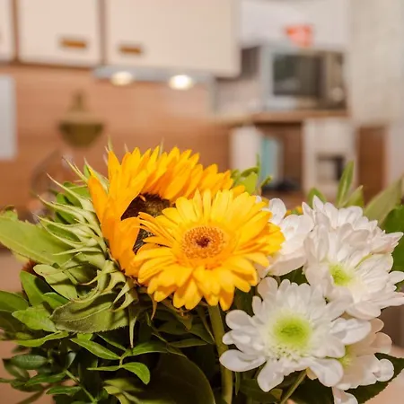 Apartamento Haus Osserblick Arrach