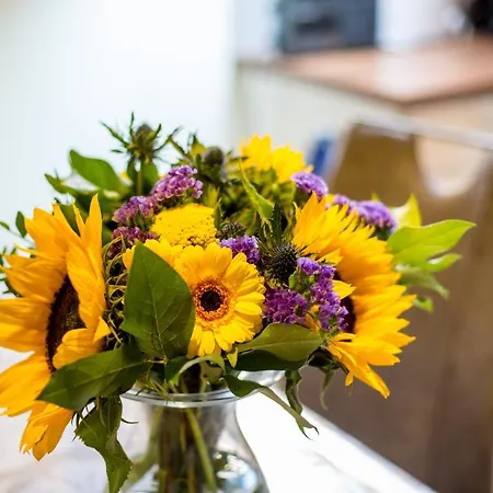 아파트 Haus Osserblick *